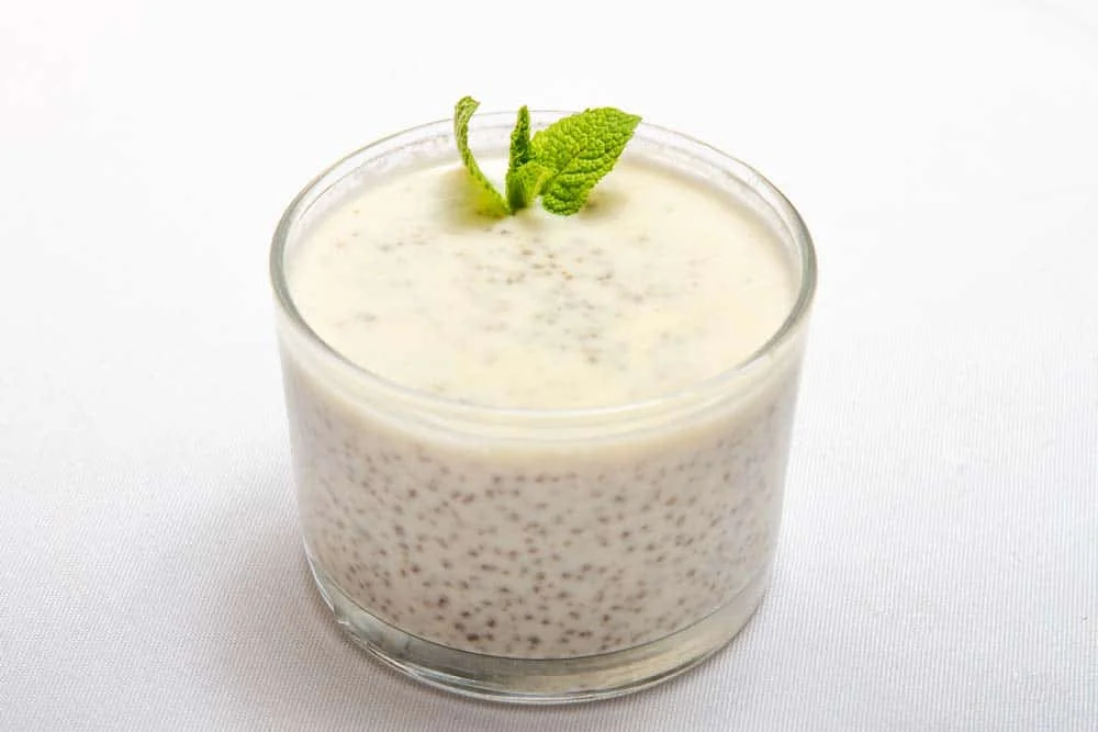 Yaourt maison (Degué)